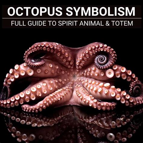 The Symbolism of the Octopus in Dreams