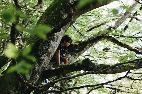The Thrill of Climbing: Rediscovering the Inner Child