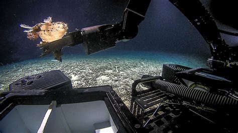 The Thrill of Deep-Sea Exploration