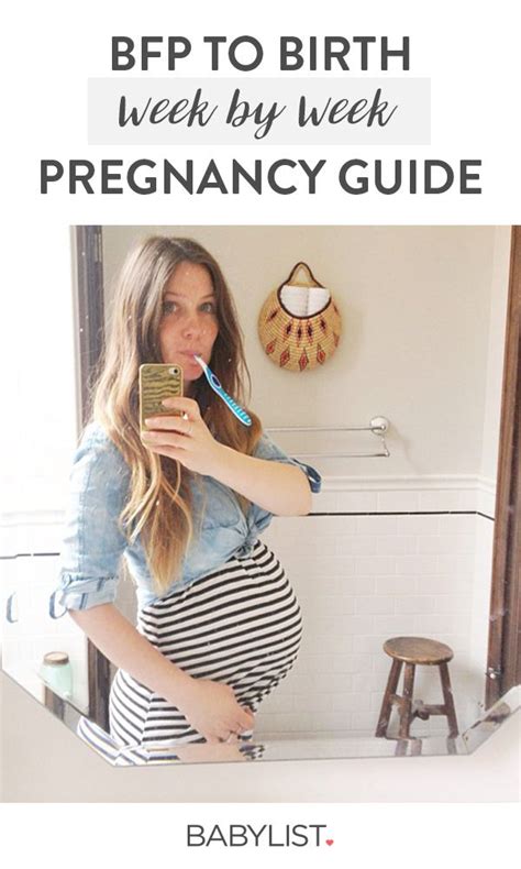 The Thrilling Voyage of Pregnancy