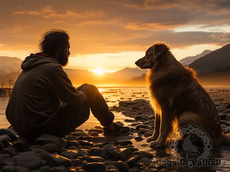 The Timeless Bond: Exploring the Deep Connection Between Humans and Canines