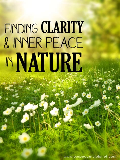 The Transformative Power of Finding Peace: Uncovering Inner Clarity and Personal Growth in the Enchanting Forest