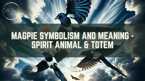 The Tug of War: Dual Symbolism in Magpie Dreams and Its Psychological Interpretations