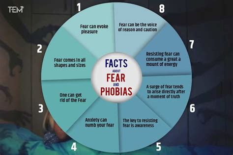 The Underlying Causes of the Fear of Abduction
