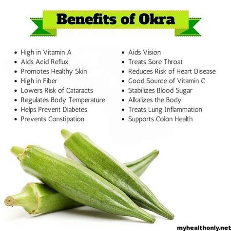 The Unexpected Health Advantages of Okra