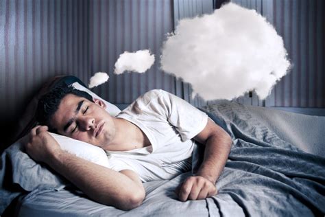 The Unexpected Influence of Dishwashing Dreams on Sleep Quality