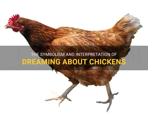 The Unexpected Symbolism of Chickens in Dreams