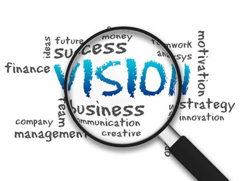 The Vision and its Importance