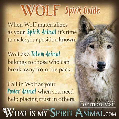The Wolf Spirit: A Symbol of Inner Resilience