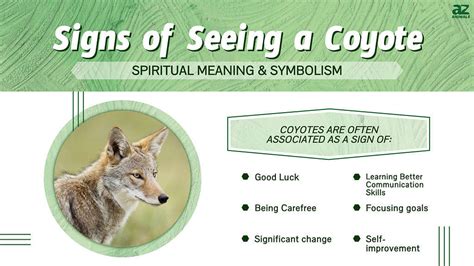 Tips for Analyzing and Discovering Significance in Coyote Assault Visions
