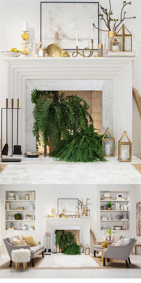 Transforming Your Living Space with Ferns: Bringing Your Fantasies to Life