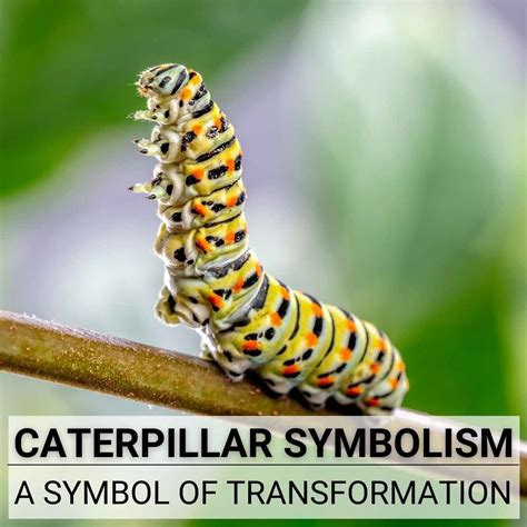 Turning Fear into Power: Unleashing the Symbolism of a Caterpillar in Pursuit