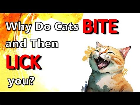 Unconscious Signals: Decoding the Psychological Significance of Feline Biting in One's Dreams