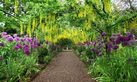 Uncovering the Enchanting Gardens and Verdant Oases of the UK Capital