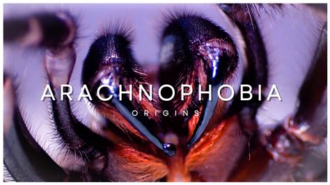 Uncovering the Origins of Arachnophobia: The Fear Factor