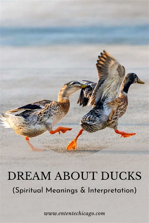 Uncovering the Symbolic Significance of Dreaming about Waterfowl