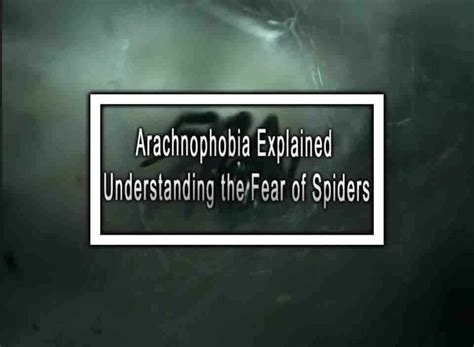 Understanding Arachnophobia: The Fear of Spiders