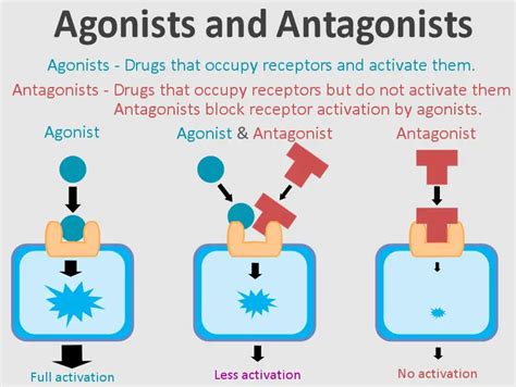 Understanding Dreams of Antagonists: Insights from Psychologists