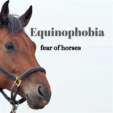 Understanding Equinophobia