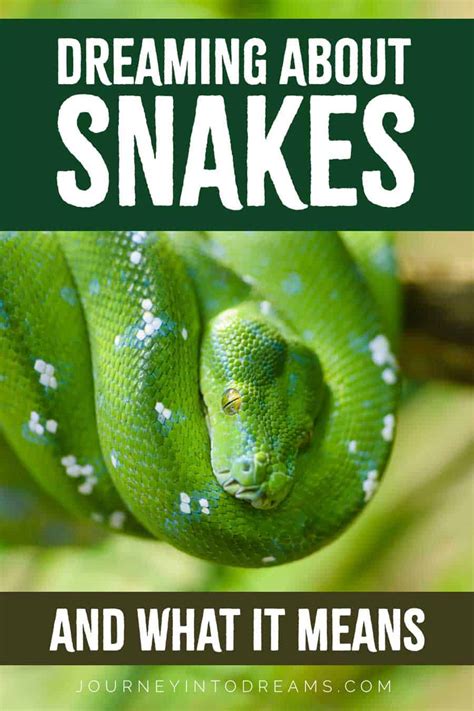Understanding and Analyzing Your Snake Dream Experiences