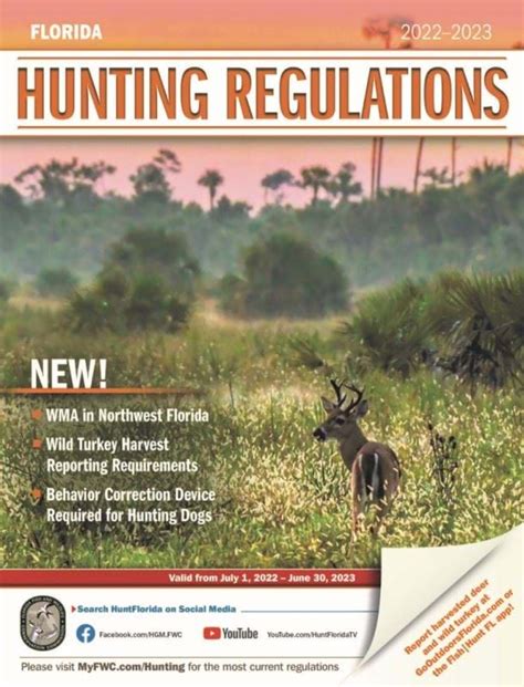 Understanding and Complying with Hunting Laws and Regulations