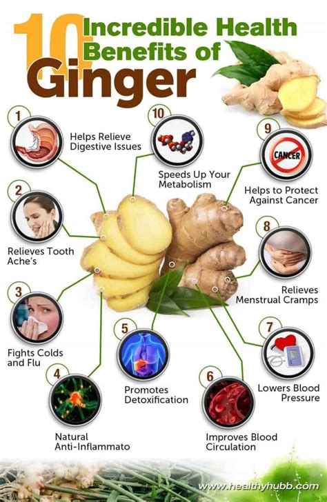 Understanding the Advantages of Ginger for Health and Culinary Utilization