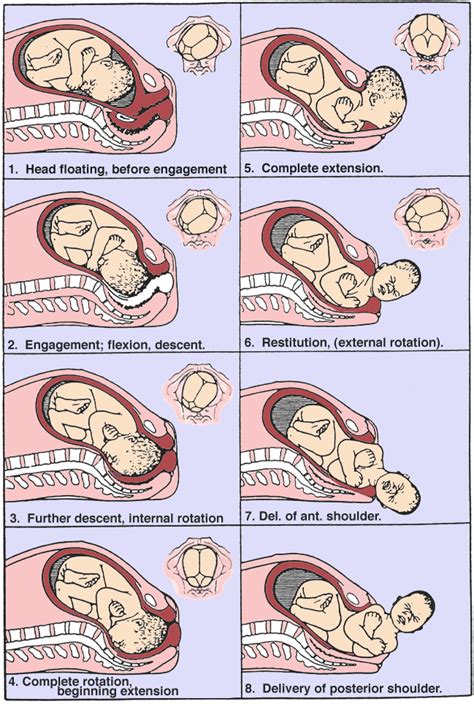 Understanding the Connection Between Fetal Movements and Maternal Emotional State
