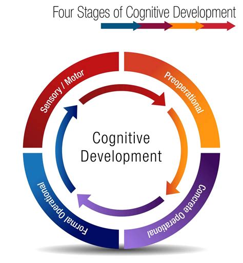 Understanding the Development of Infant Cognitive Abilities