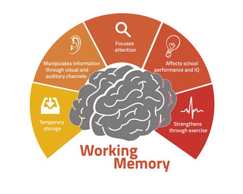 Understanding the Different Varieties of Memory Impairment in Dreams