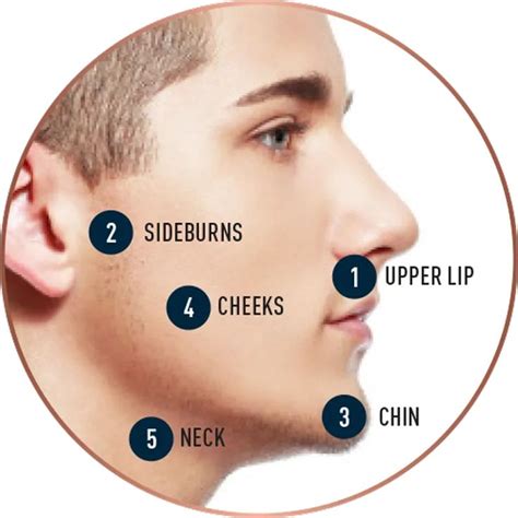Understanding the Fundamentals of Facial Hair Growth
