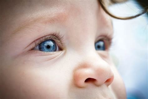 Understanding the Importance of the Infant in the Vision