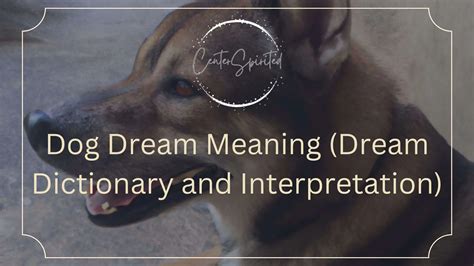 Understanding the Significance of Dogs in Dream Interpretation