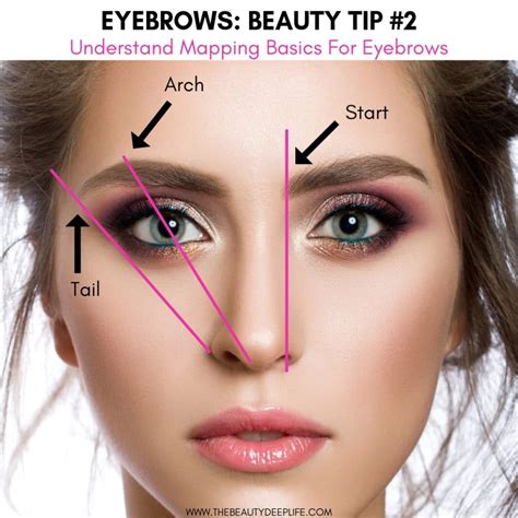 Understanding the Significance of Eyebrows