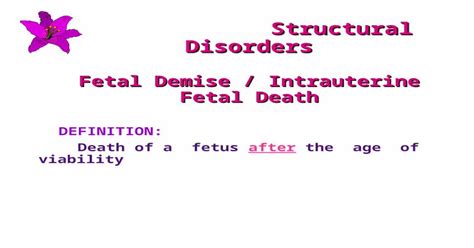 Understanding the Significance of Fetal Demise in Dream Scenarios