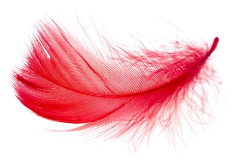 Understanding the Significance of Red Feathers in Dream Interpretation