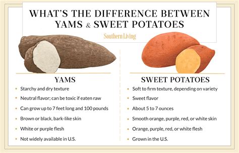 Understanding the Symbolic Connection between Yam and Nourishment