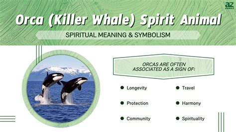 Understanding the Symbolic Representation of Orca