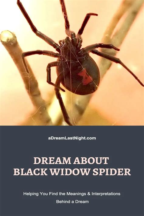 Understanding the Symbolism of Dreaming About a Black Widow Bite