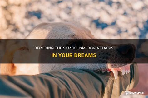 Understanding the Symbolism of Dreaming about a Canine Attack