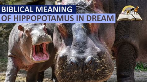 Understanding the Symbolism of a Hippo in Dreams