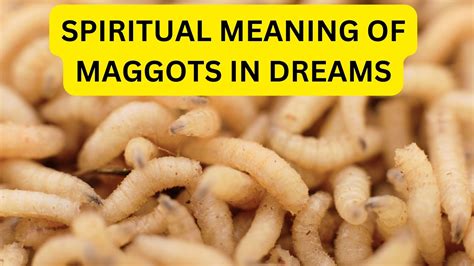 Unearthing the Hidden Messages and Warnings in Death Maggot Dreams