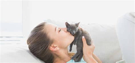 Unforgettable Moments of Caring for Kittens: The Magic of Nourishment