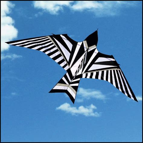 Unleashing Creativity: The Evolution of Artistic Expression in Kite Design