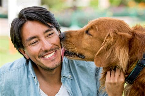 Unleashing Happiness: The Health Benefits of Owning a Content Canine