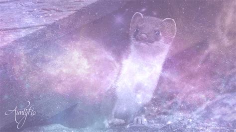 Unlocking the Enigma: Deciphering the Significance of Weasel Nibbles in Dreams