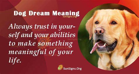 Unlocking the Hidden Meanings and Symbolism of Canine Dreams