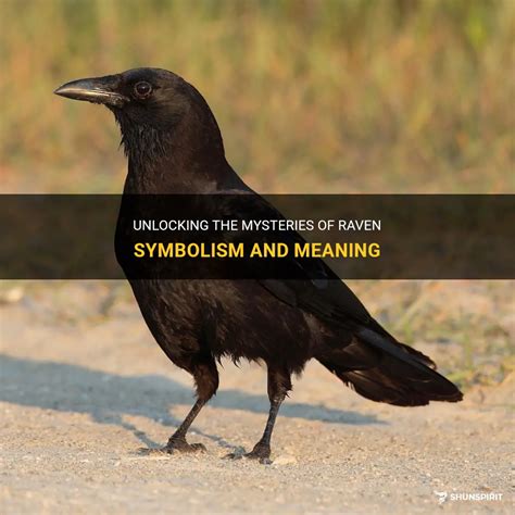 Unlocking the Symbolism of the Sinister Raven in Literature and Art