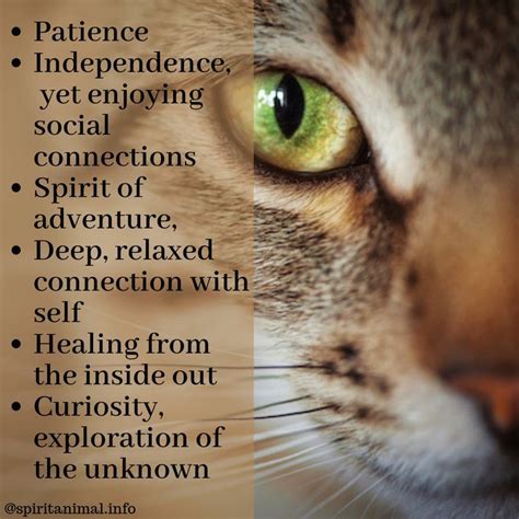 Unmasking the Secret Powers of Feline Spirits