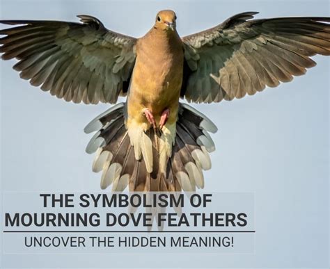 Unraveling the Emotional and Psychological Significance of a Departed Mourning Pigeon in Visions
