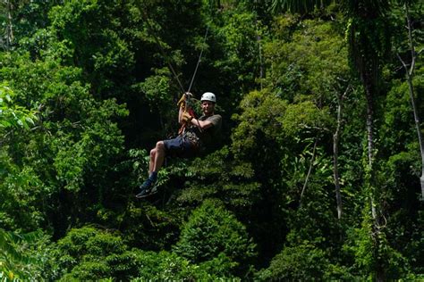 Unraveling the Enigmas of the Canopy: An Adrenaline-Pumping Expedition